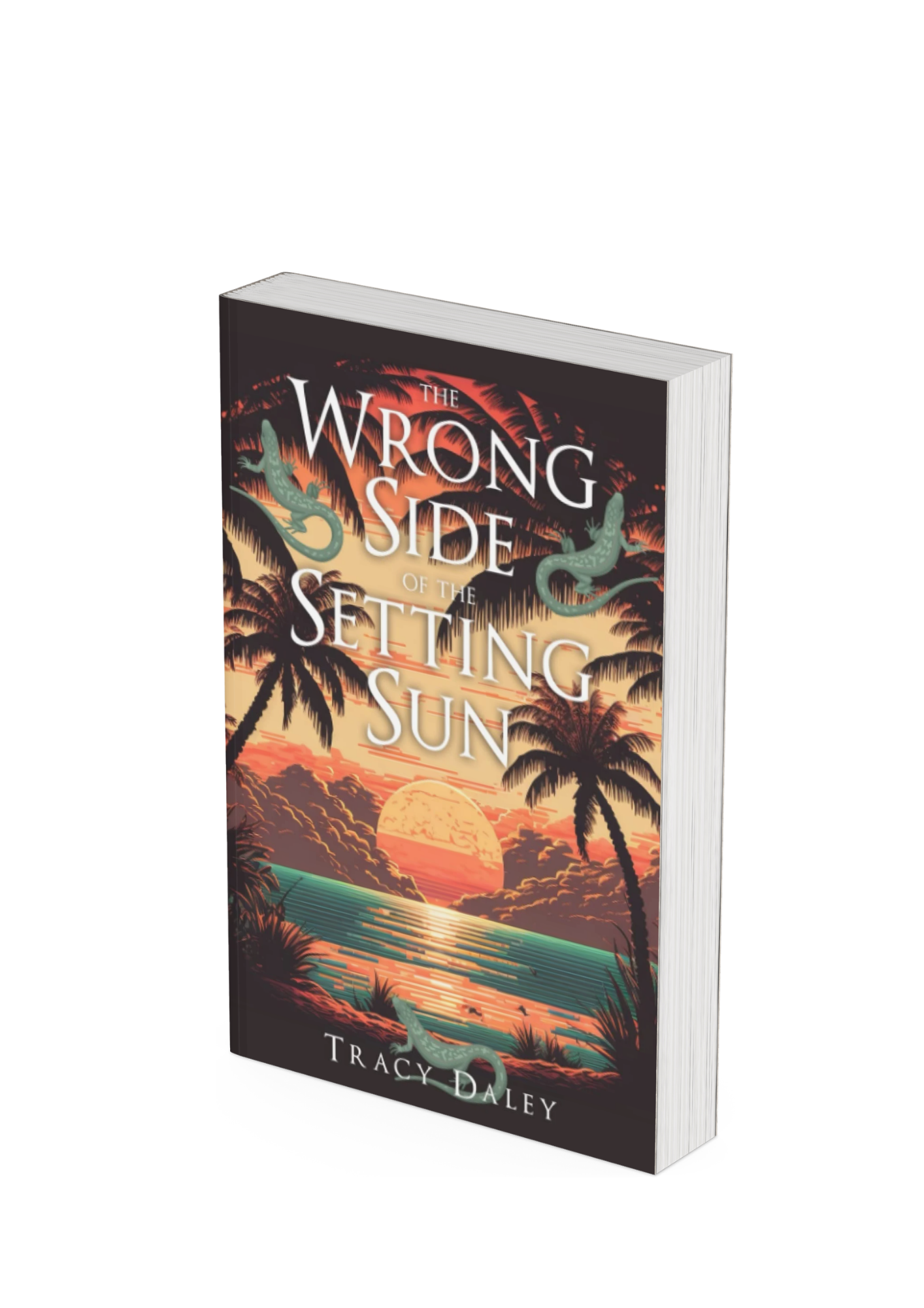 Paperback - The Wrong Side of the Setting Sun