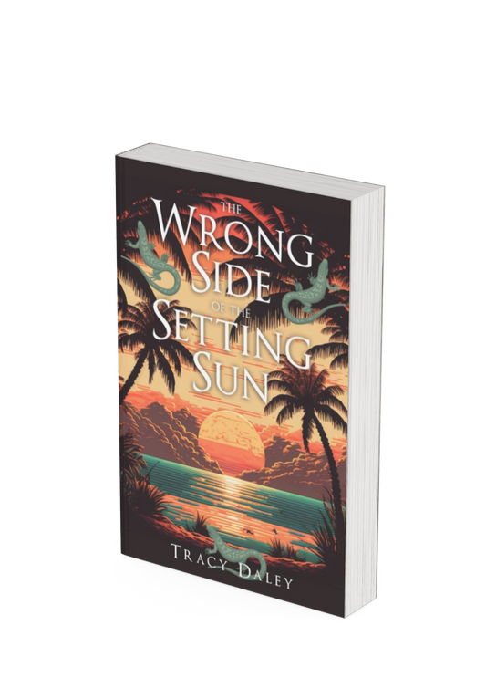 Paperback - The Wrong Side of the Setting Sun
