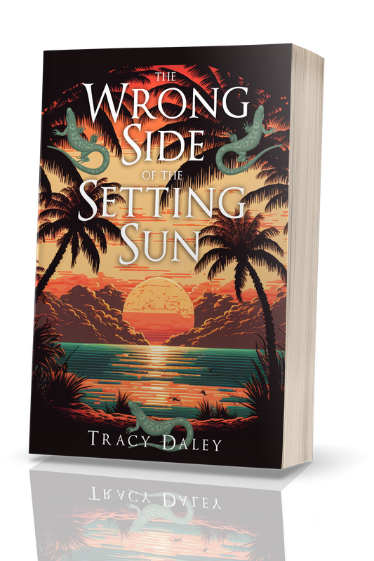 Paperback - The Wrong Side of the Setting Sun